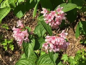 190604-12.jpg