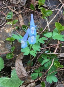190604-14.jpg