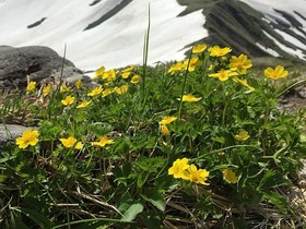 190604-4.jpg