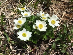 190604-5.jpg