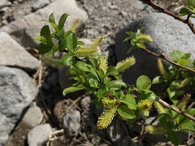 190604-6.jpg