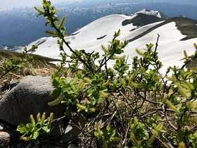 190604-7.jpg