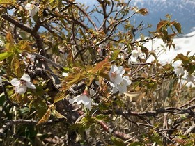 190604-8.jpg