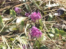 190604-9.jpg