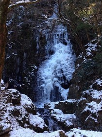 160127-14.jpg
