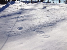 160127-16.jpg