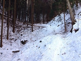 160127-2.jpg