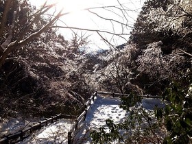 160209-1.jpg