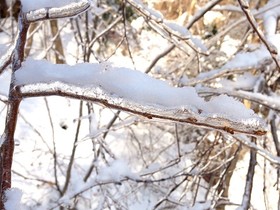 160209-10.jpg