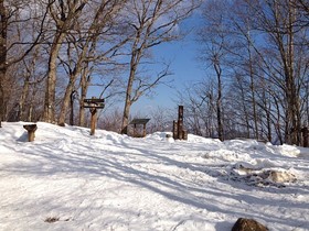 160209-11.jpg