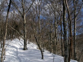 160209-12.jpg