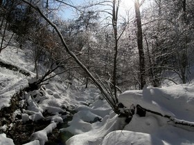 160209-14.jpg