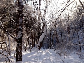 160209-3.jpg