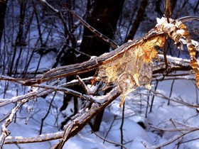 160209-4.jpg