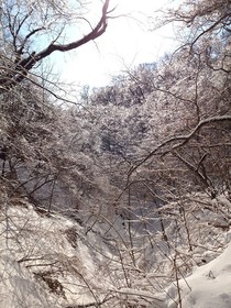 160209-8.jpg
