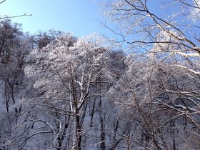 160209-9.jpg