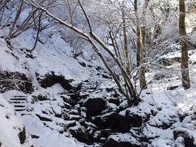 160315-1.jpg