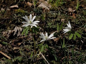 160315-12.jpg