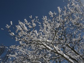 160315-13.jpg