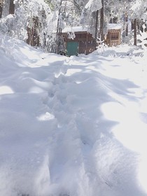 160315-4.jpg