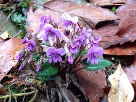 160404-12.jpg