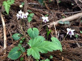 160419-1.jpg