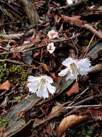 160419-11.jpg