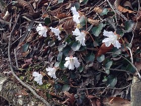 160419-12.jpg