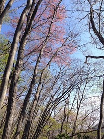 160419-15.jpg