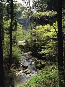 160419-19.jpg