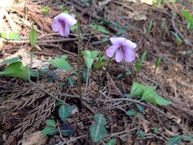 160419-3.jpg