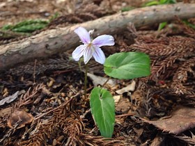 160419-6.jpg