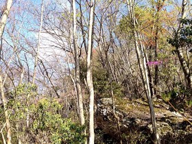 160419-7.jpg