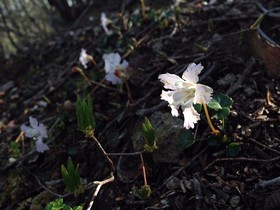 160419-9.jpg