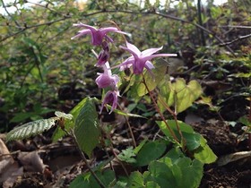 160426-12.jpg
