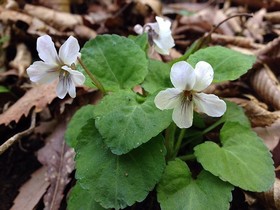 160426-13.jpg