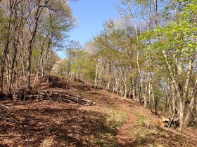 160426-14.jpg