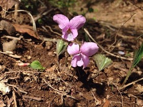 160426-15.jpg