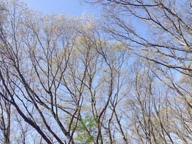 160426-16.jpg