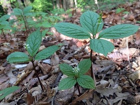 160426-7.jpg