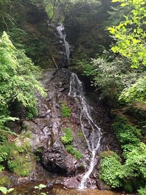 160525-1.jpg