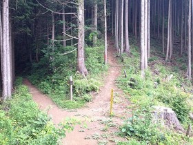 160525-10.jpg