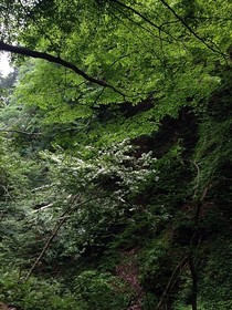 160525-3-5.jpg