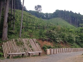 160525-3.jpg