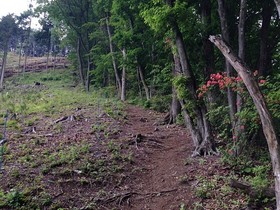 160525-4.jpg