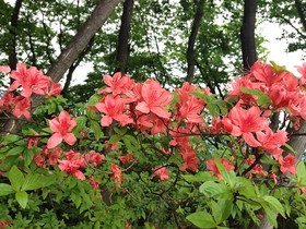 160525-5.jpg