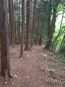 160525-9.jpg