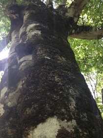 160809-11.jpg