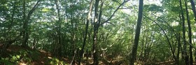160809-12.jpg
