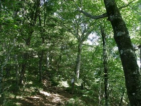 160809-13.jpg